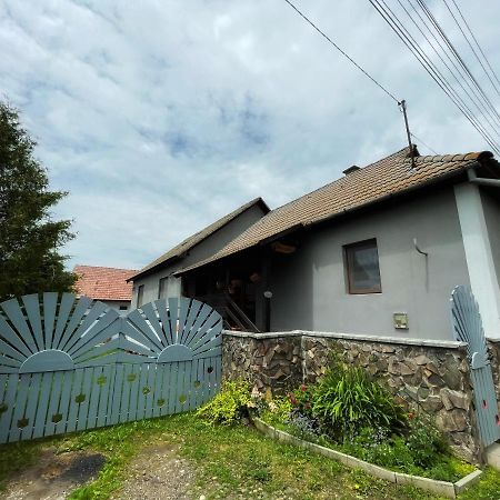 Casa De Oaspeti Cristina Fitod Luaran gambar