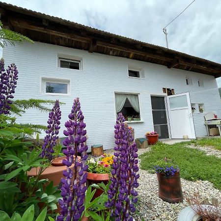 Casa De Oaspeti Cristina Fitod Luaran gambar
