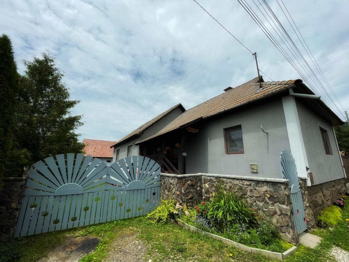 Casa De Oaspeti Cristina Fitod Luaran gambar