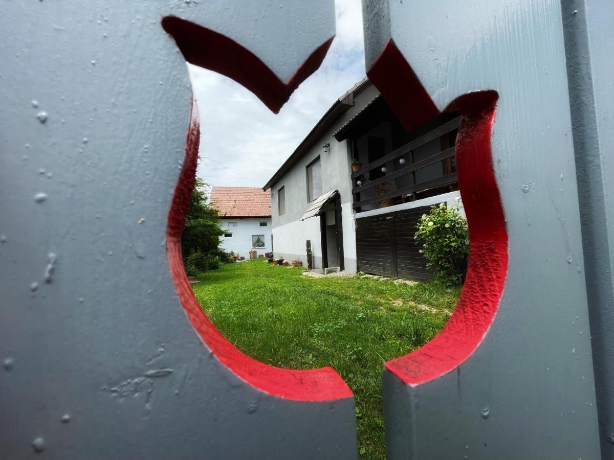 Casa De Oaspeti Cristina Fitod Luaran gambar