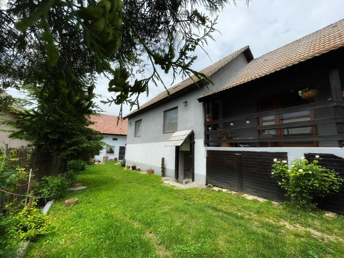 Casa De Oaspeti Cristina Fitod Luaran gambar