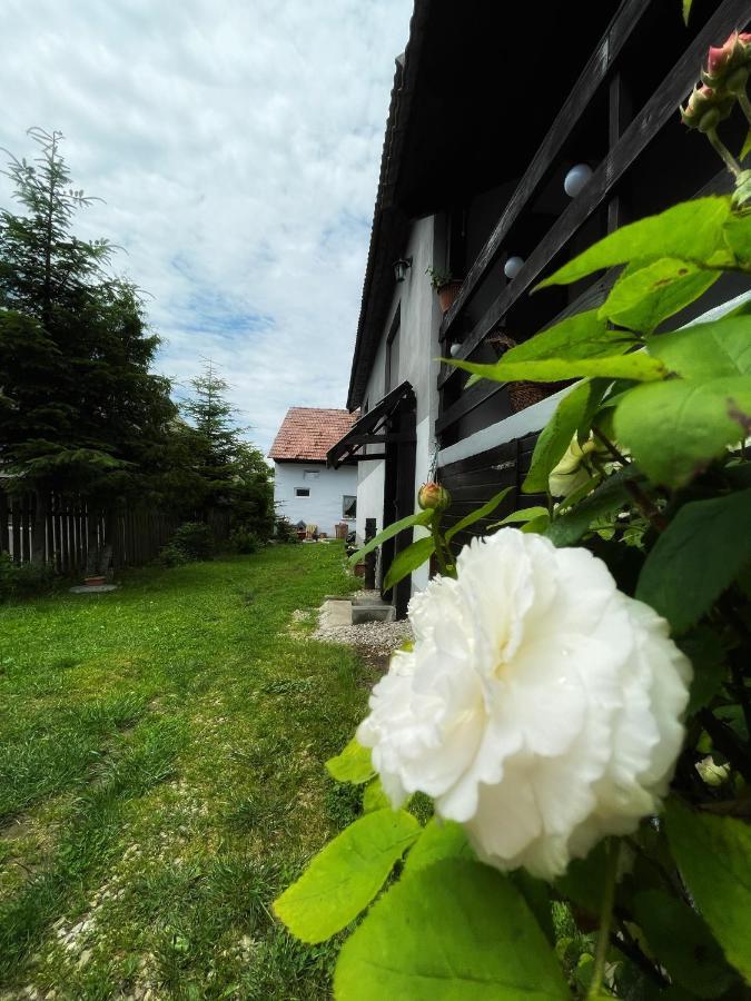 Casa De Oaspeti Cristina Fitod Luaran gambar